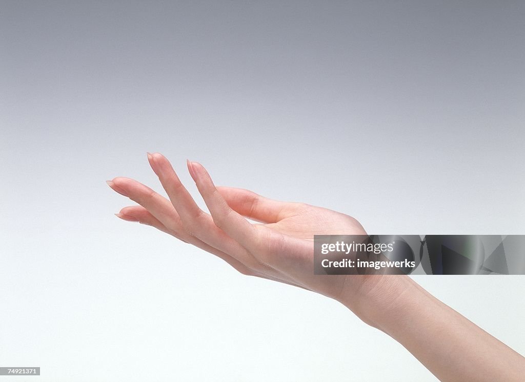 Close-up of woman's palm