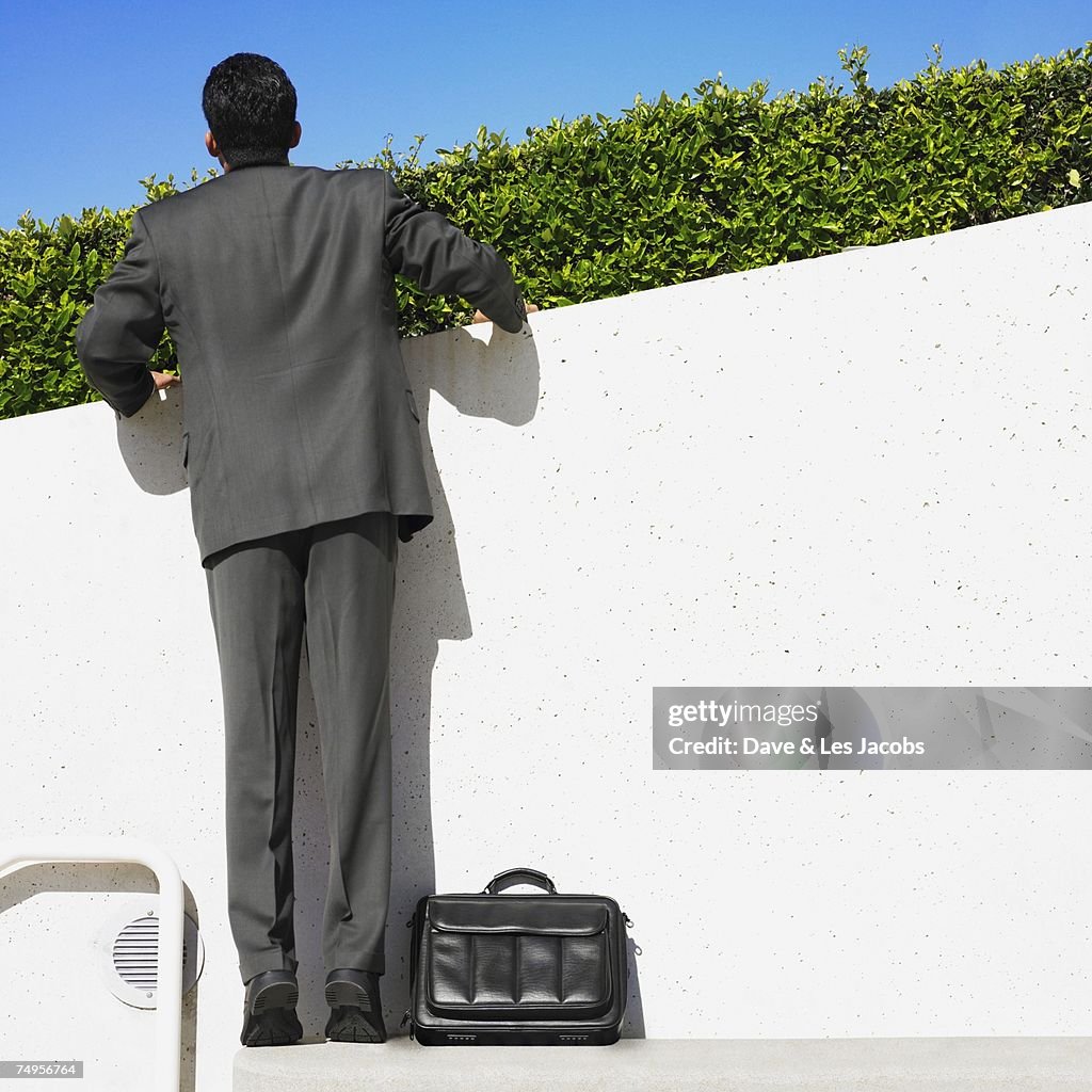 Hispanic businessman looking over hedge