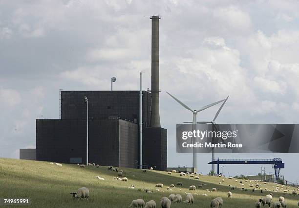 Sheep graze on a meadow in front of the Brunsbuettel nuclear power station on June 30, 2007 in Brunsbuettel near Hamburg, Germany. Energy group...