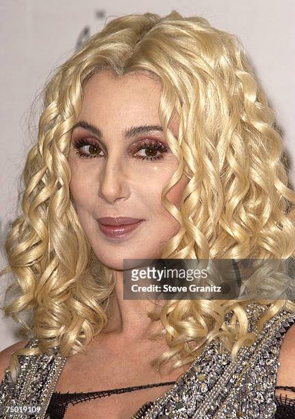 105 Cher Hair Photos and Premium High Res Pictures - Getty Images