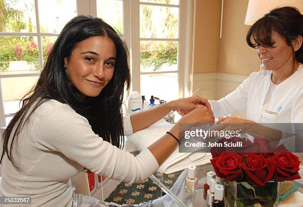 Emmanuelle Chriqui