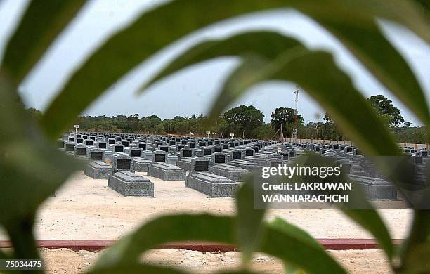 In this photograph taken 01 July 2006, Tamil Tiger graves are pictured at a "martyrs'" cemetery outside the rebel-held town of Kilinochchi in...