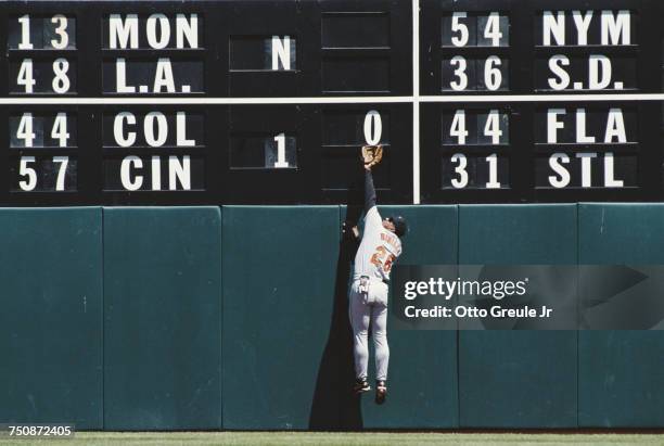 Bobby Bonilla, right fielder for the Baltimore Orioles jumps to attempt a catch by the outfield scoreboard during the Major League Baseball American...