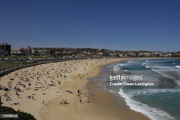 bondi beach in sydney,australia - wt1 foto e immagini stock