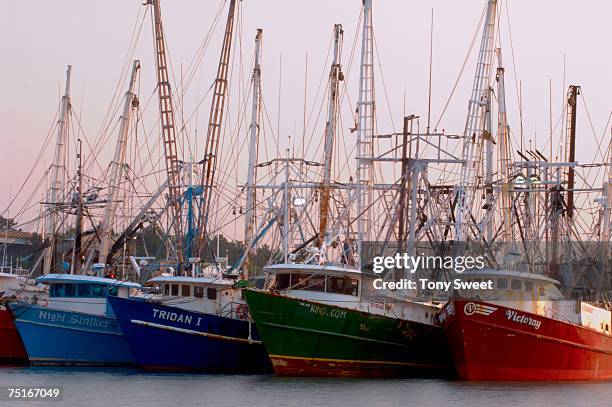 new jersey, cape may, lobster boats - condado de cape may imagens e fotografias de stock