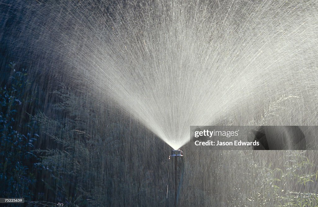 Jamieson, Victoria, Australia.