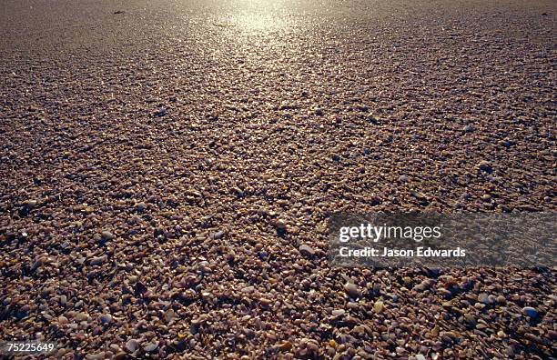 coorong national park, younghusband penninsula, south australia. - younghusband fotografías e imágenes de stock