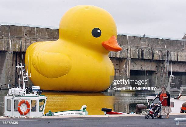 Saint-Nazaire, FRANCE: "Bathduck", an inflatable giant duck made by Dutch artist Florentijn Hofman, with giant dimension as 25 metre-high and 32...