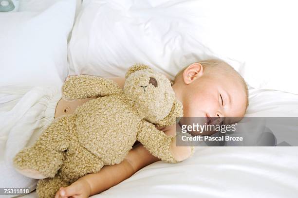 baby sleeping, indoors - baby stuffed animal bildbanksfoton och bilder