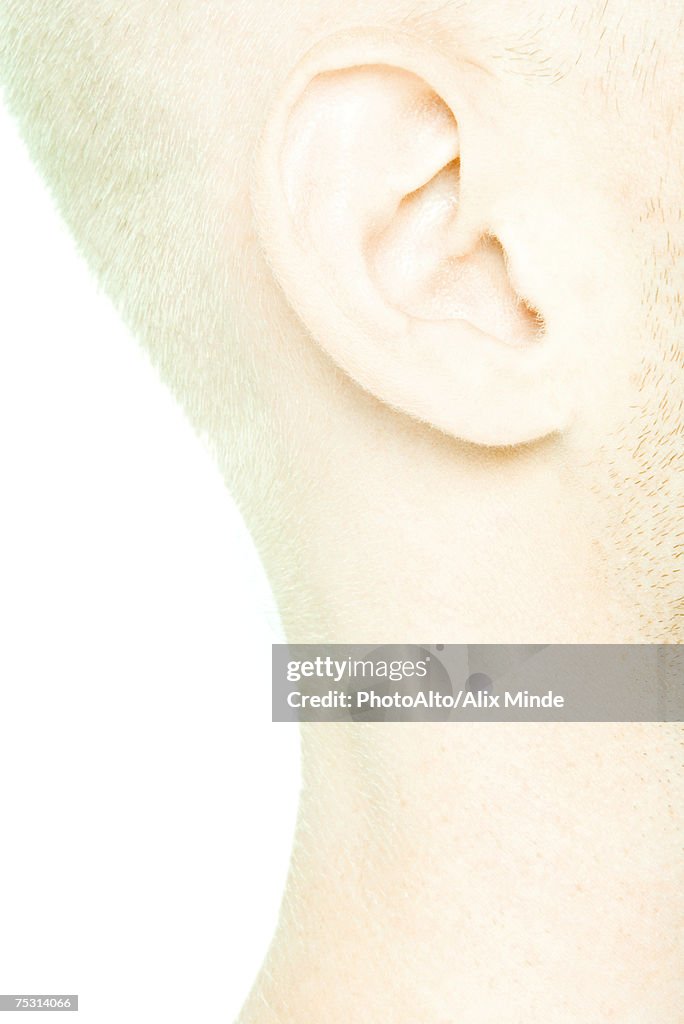 Young man's ear and neck, side view