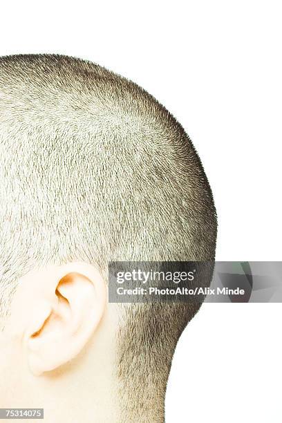 back of man's shaved head, side view - shaved-buzz-cut-back-of-head photos et images de collection