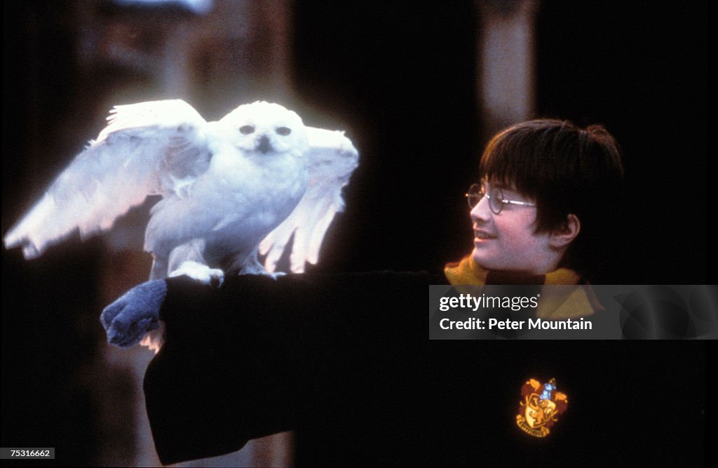 Harry Potter and The Sorcerer's Stone - Movie Stills