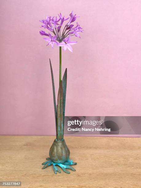 creative vases - verdigris stock pictures, royalty-free photos & images