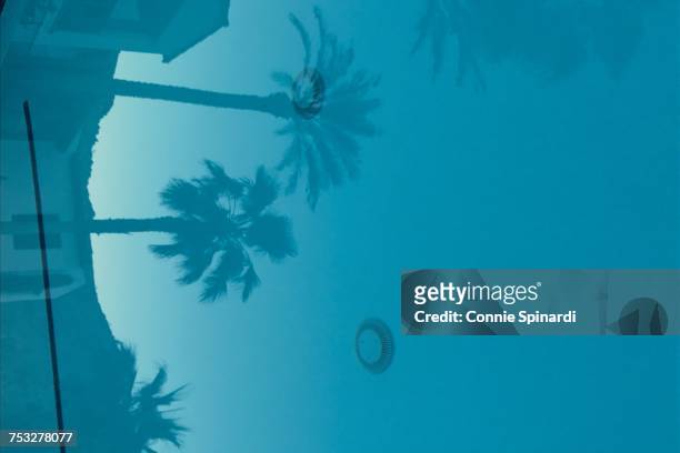 reflections - la quinta california stock pictures, royalty-free photos & images