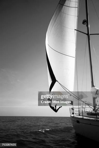 14 456 Voilier Noir Et Blanc Stock Photos High Res Pictures And 14-456-voilier-noir-et-blanc-stock-photos-high-res-pictures-and