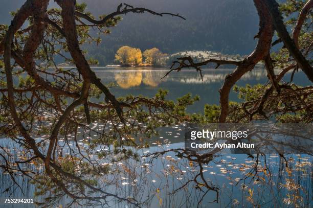 fall colours at lake abant, bolu, turkey - abant turkey stockfoto's en -beelden