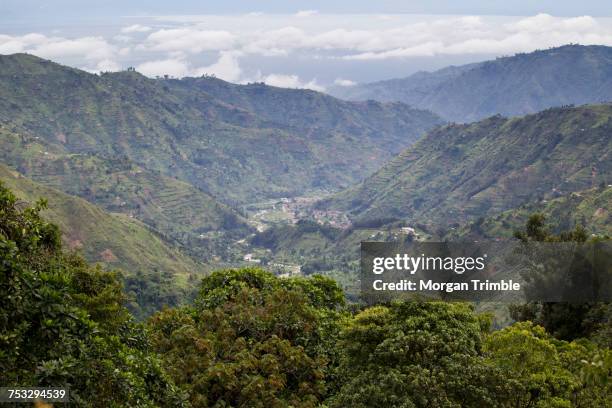 Kasese Rables Kasese District Photos and Premium High Res Pictures - Getty Images