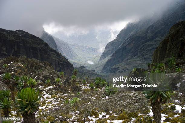 Kasese Rables Kasese District Photos and Premium High Res Pictures - Getty Images