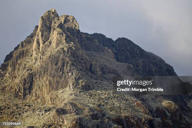 Kasese Rables 60 Kasese District Stock Photos, High-Res Pictures, and Images - Getty ...