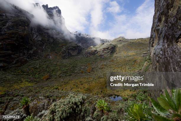 Kasese Rables 74 Kasese District Stock Photos, High-Res Pictures, and Images - Getty ...