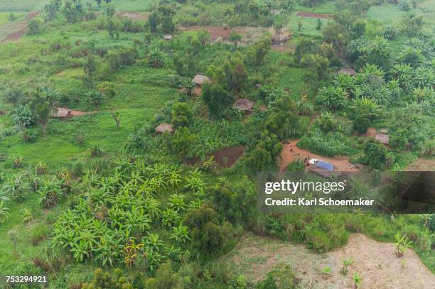 Drc Countryside Climate Of The Republic Of The Congo Photos and Premium High Res ...