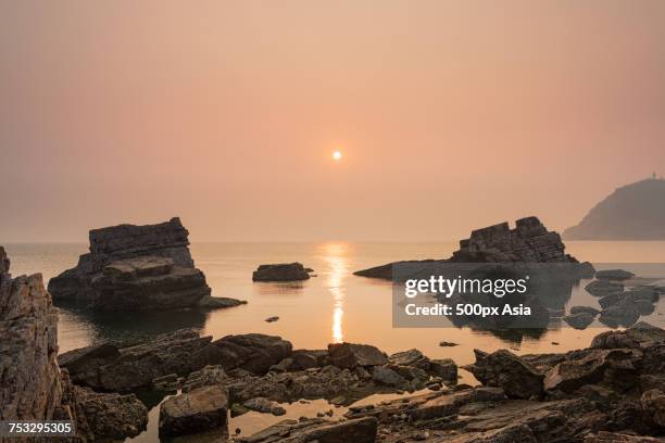 sea and rocky coastline, penglai, yantai, shandong, china - polar bear cub irina meets visitors at ocean aquarium of penglai stockfoto's en -beelden