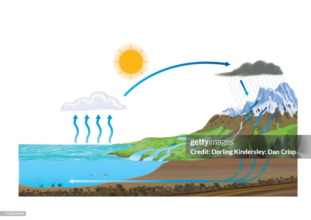 Water cycle
