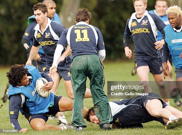 Bevin Fortuin 45 Bevin Fortuin Stock Photos, High-Res Pictures, and Images - Getty Images