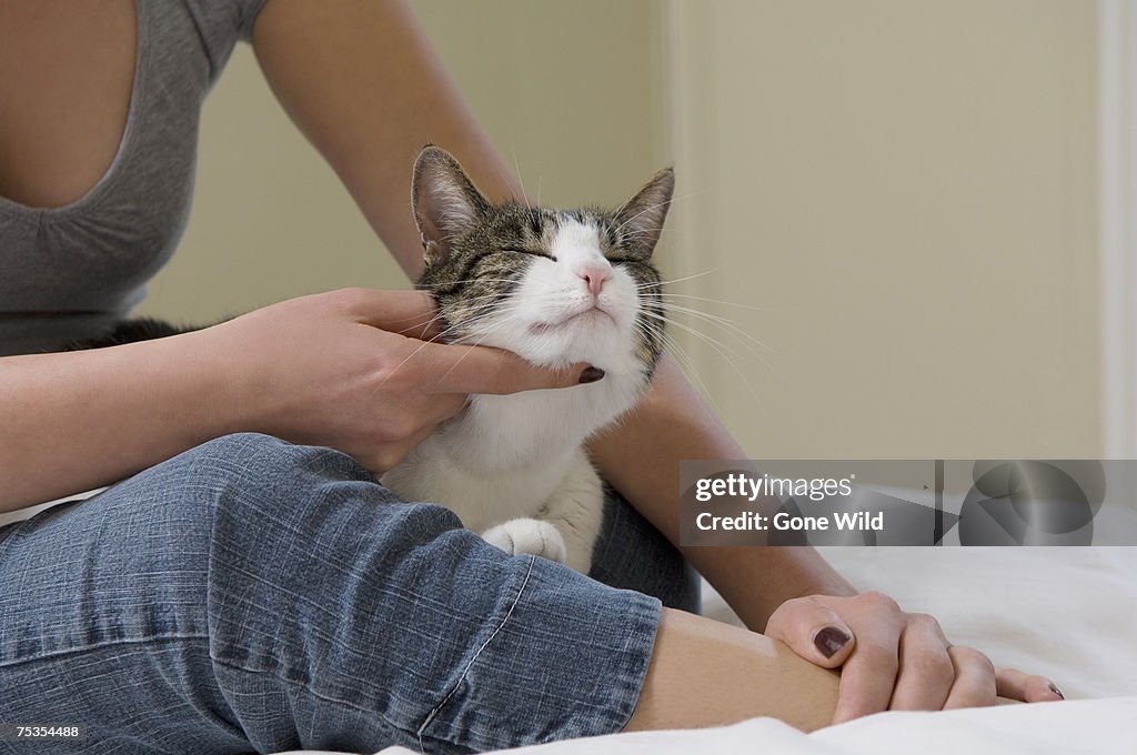 Young woman stroking domestic cat under chin (low section)