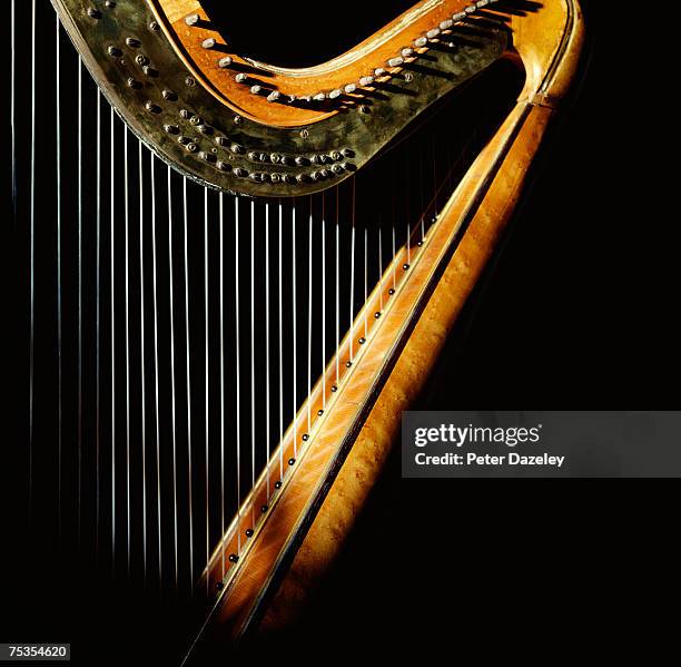 harp in sunlight - harp stockfoto's en -beelden