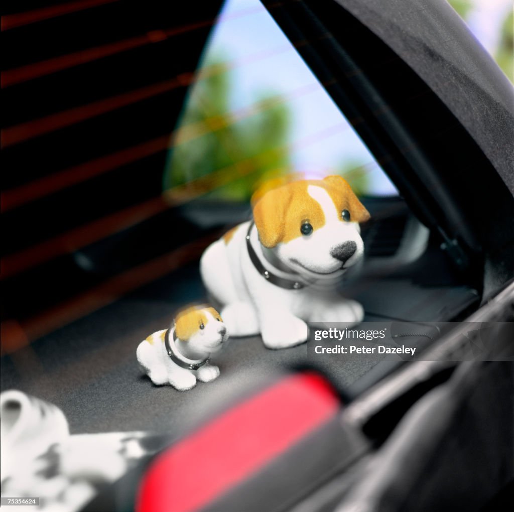 Nodding dogs in car, blurred motion