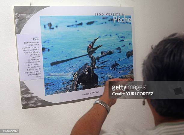 Un mujer observa una fotografia el 11 de julio de 2007 de la muestra "Humanidad y biodiversidad, nuestras vidas estan unidas" en el Museo Nacional en...