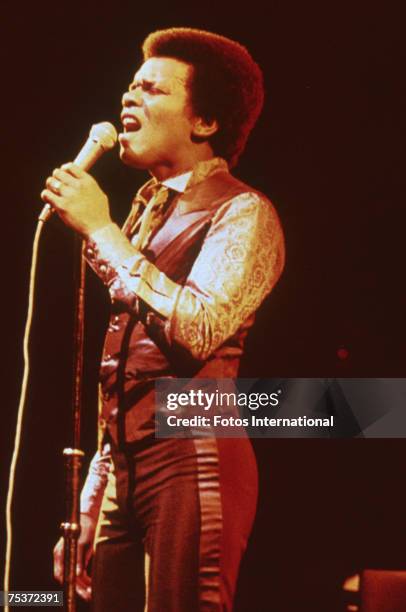 Johnny Singer 58,259 Johnny English Photos & High Res Pictures - Getty Images