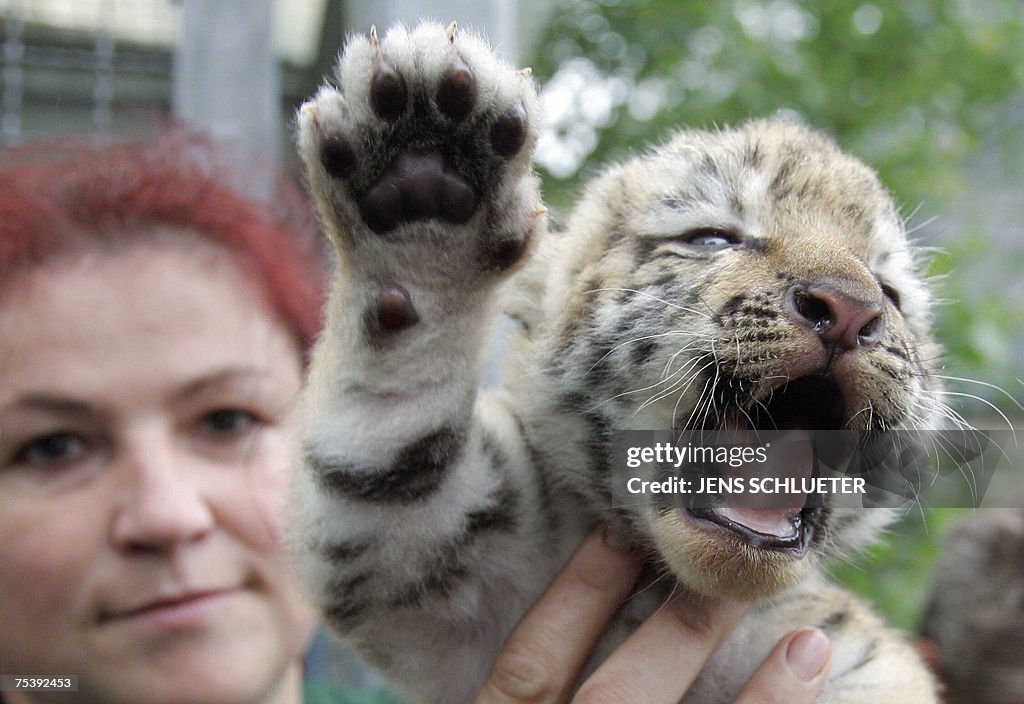 Animal keeper Franka Friedel holds a bab...