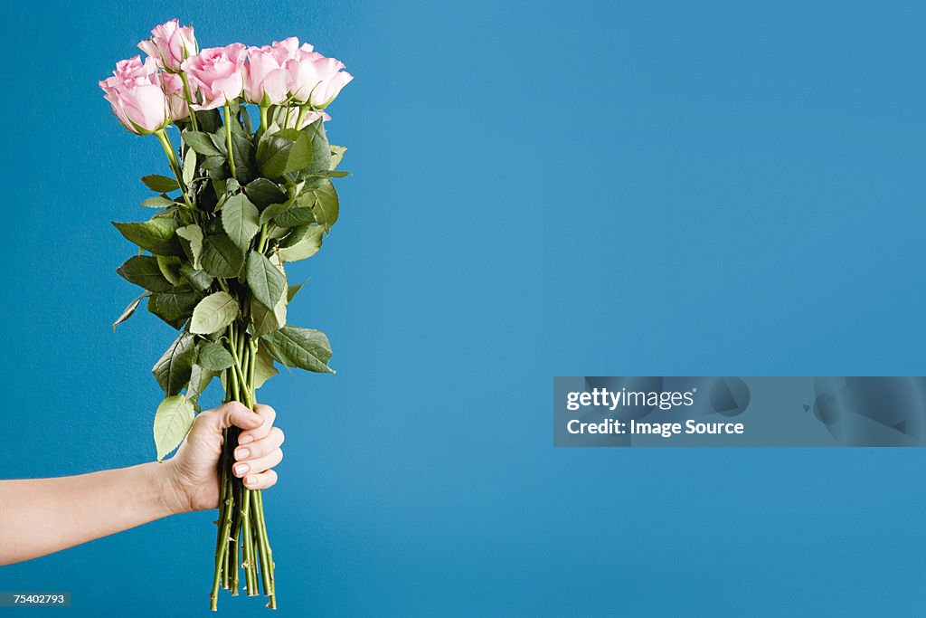 Person holding a bunch of roses