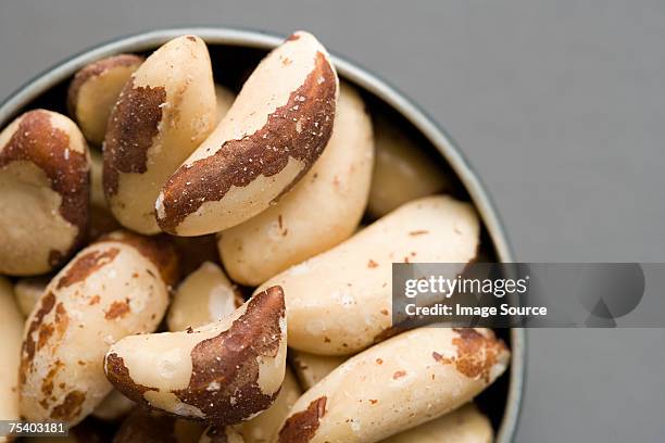 bowl of brazil nuts - brazil nuts stock pictures, royalty-free photos & images