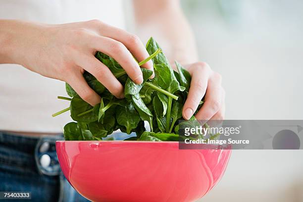 persona que prepara espinacas - spinach fotografías e imágenes de stock