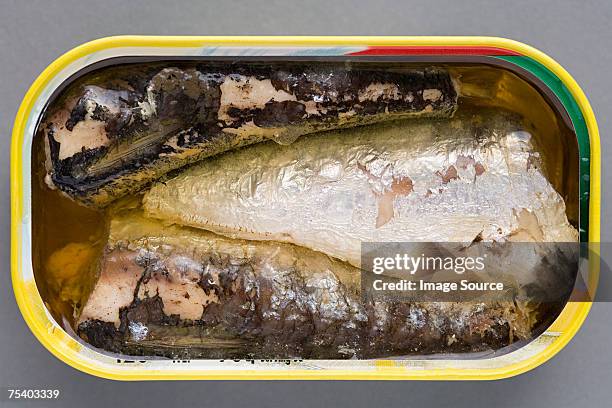 sardines in a tin - sunflower seed oil stock pictures, royalty-free photos & images