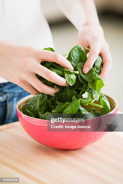 person preparing spinach - salad tossing stock pictures, royalty-free photos & images