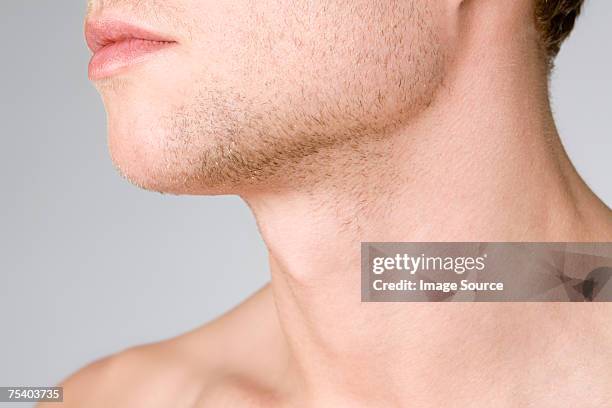 männliche kinn und nacken - hals stock-fotos und bilder
