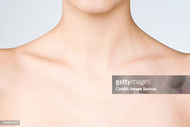 neck and chest - sleutelbeen stockfoto's en -beelden