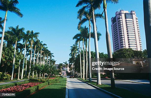 boca raton florida - boca raton stock pictures, royalty-free photos & images