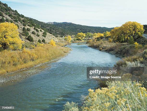 rio grande new mexico - rio grande bildbanksfoton och bilder