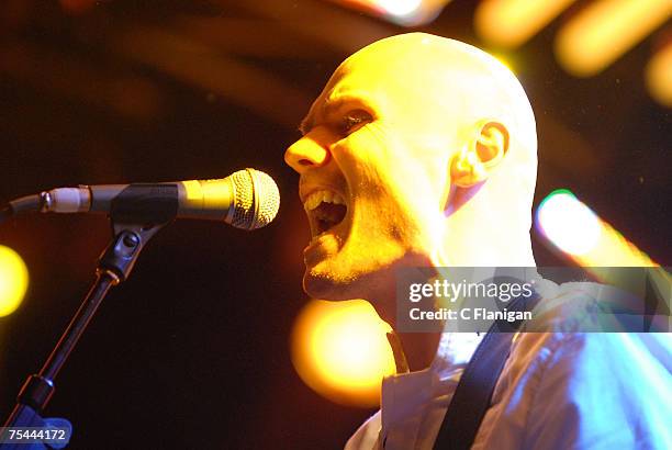 Billy Corgan of the Smashing Pumpkins perform in Concert at the Fillmore Auditorium on July 15, 2007 in San Francisco.