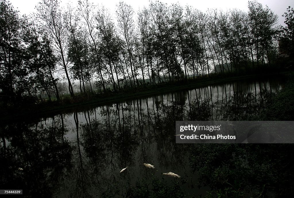 Mass Water Pollution Incidents On Rise As China's Environment Deteriorates