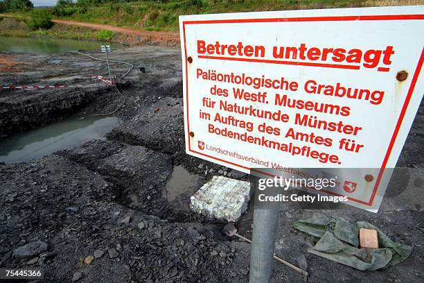 General view of the site is seen where Soenke Simonsen, hobby archaeologist, found a Plesiosaurus skeleton on July 17, 2007 in Sommersell near...