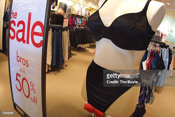 392 Lane Bryant Plus Size Fashions Stock Photos, High-Res Pictures, and  Images - Getty Images