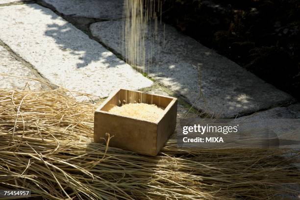 Hay Common Rice 553 Hay Box Stock Photos, High-Res Pictures, and Images - Getty Images