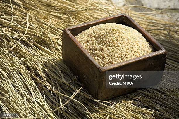 Hay Common Rice 553 Hay Box Stock Photos, High-Res Pictures, and Images - Getty Images