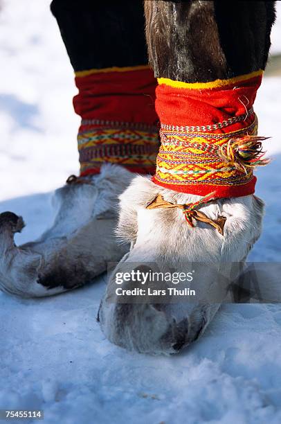 a pair of lappish boots. - sami stock pictures, royalty-free photos & images